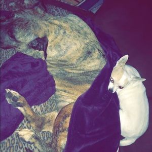 Meet your Posher, Carlee